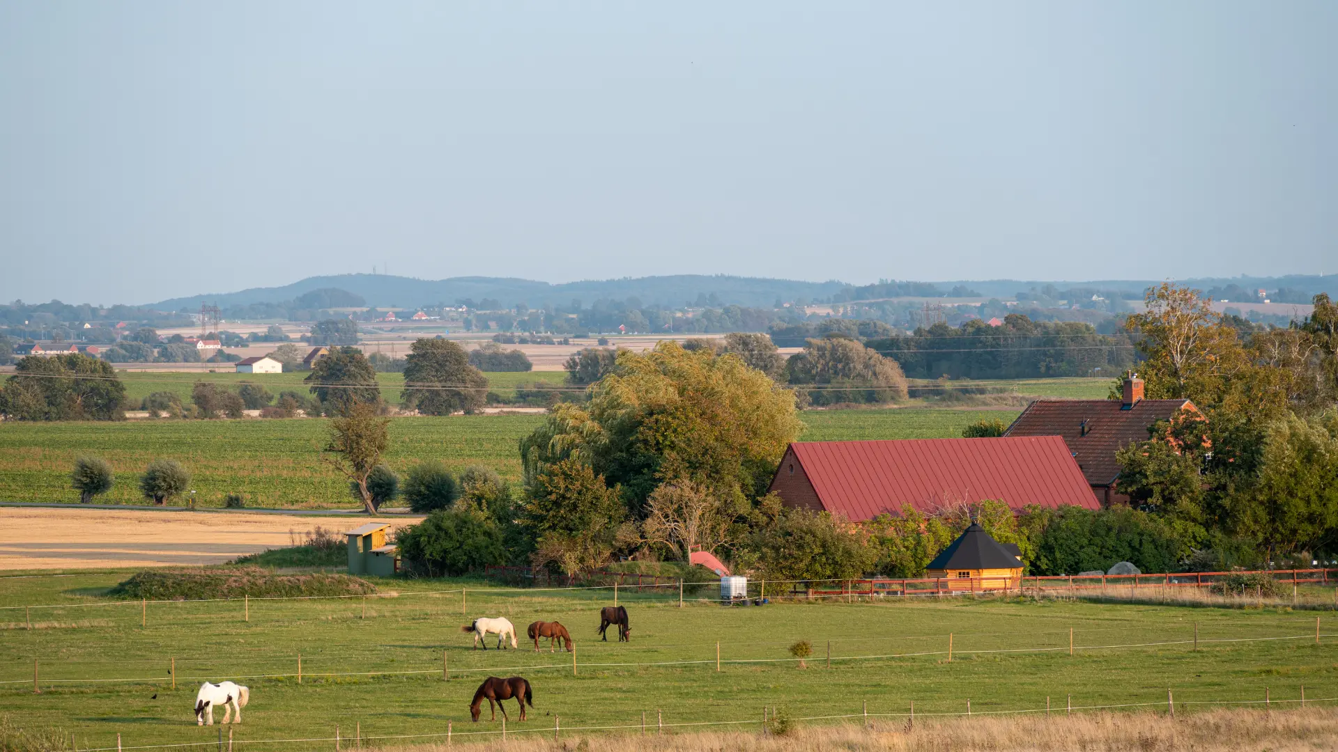Vy av fält i Skåne